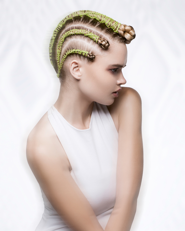2017 NAHA Master Stylist of the Year Finalist 