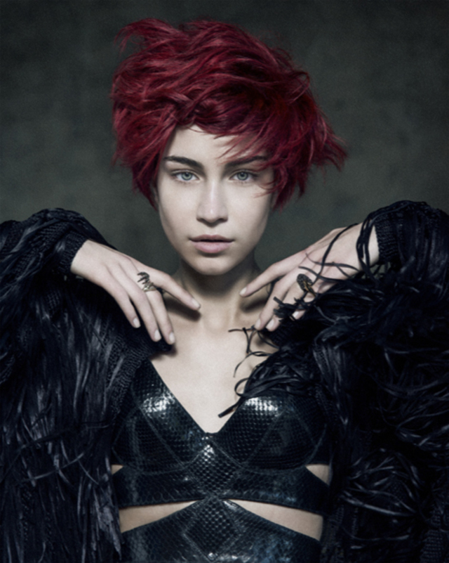 Joseph Koniak Collection 2013