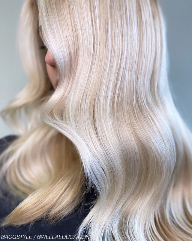 Re sized ee742c9e2a4761839afb wella care