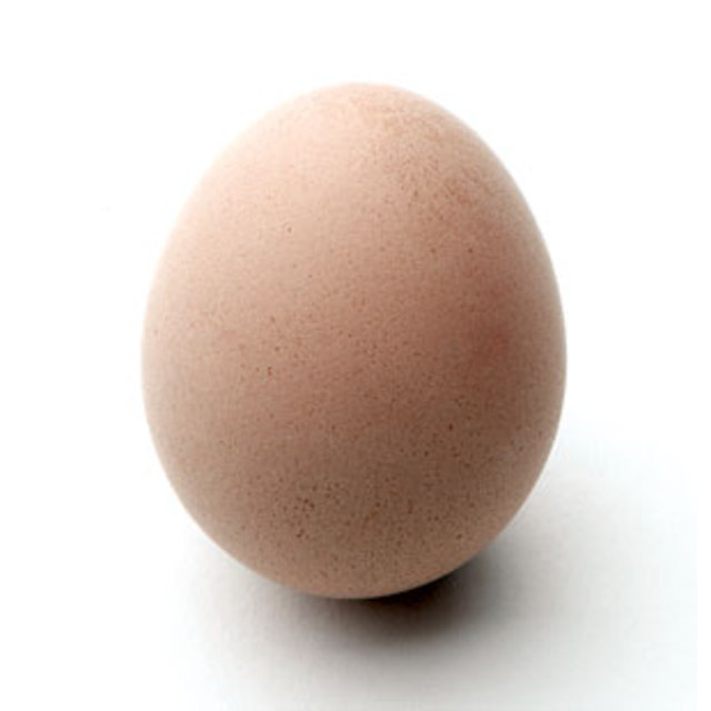 egg_ma09_310