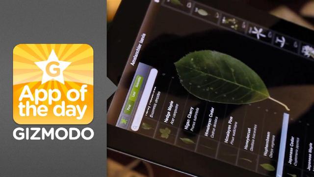 explore_gizmodo_videos_831_03
