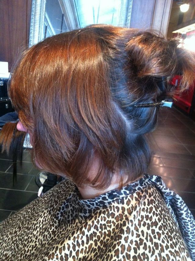 extensions 