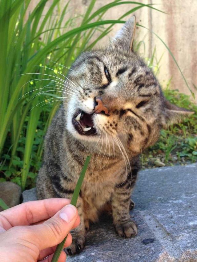eyes hungry