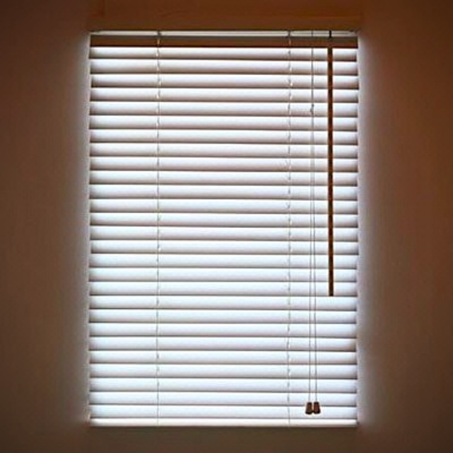 Digital Blinds Create a Window Anywhere!