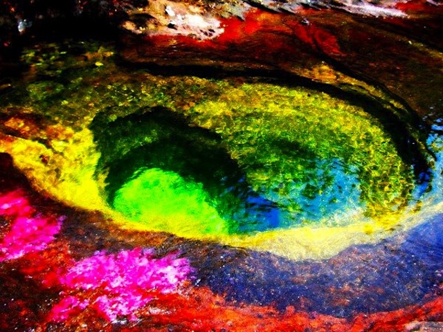 ColumbiaCanõCristales