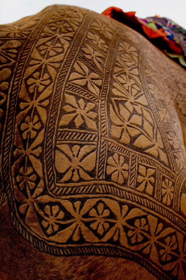 Bikaner-camel-festival4-550x824