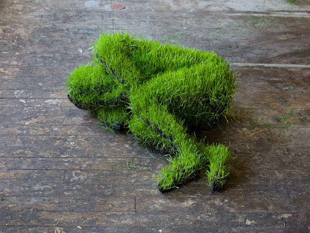 grassss