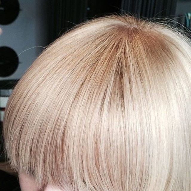 Highlights 