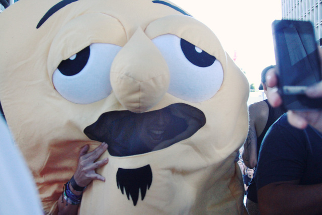 IMG_0903 rachel taco suit