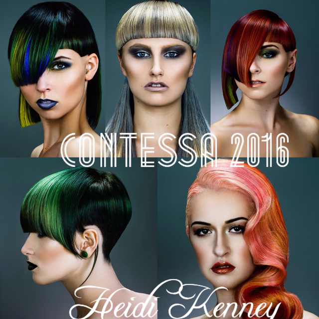 "RARE ELEMENTS"
COLLECTION 
2016 Contessa Master Colorist Finslist 