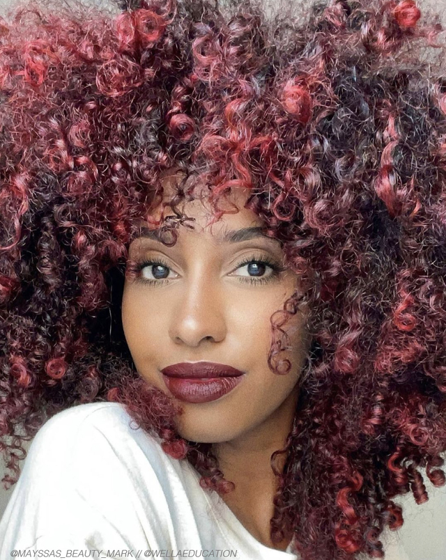 Re sized f7f6fa2a53d1a874ed53 colorlights