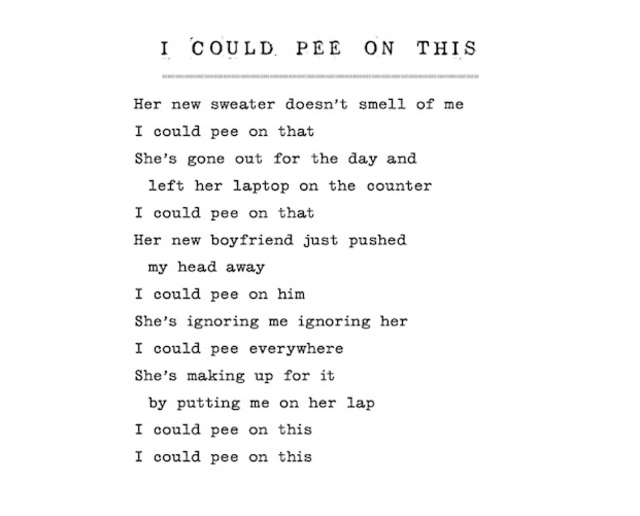 catpoem3