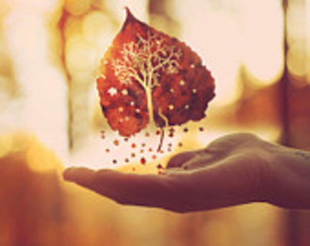 autumn-is-a-second-spring