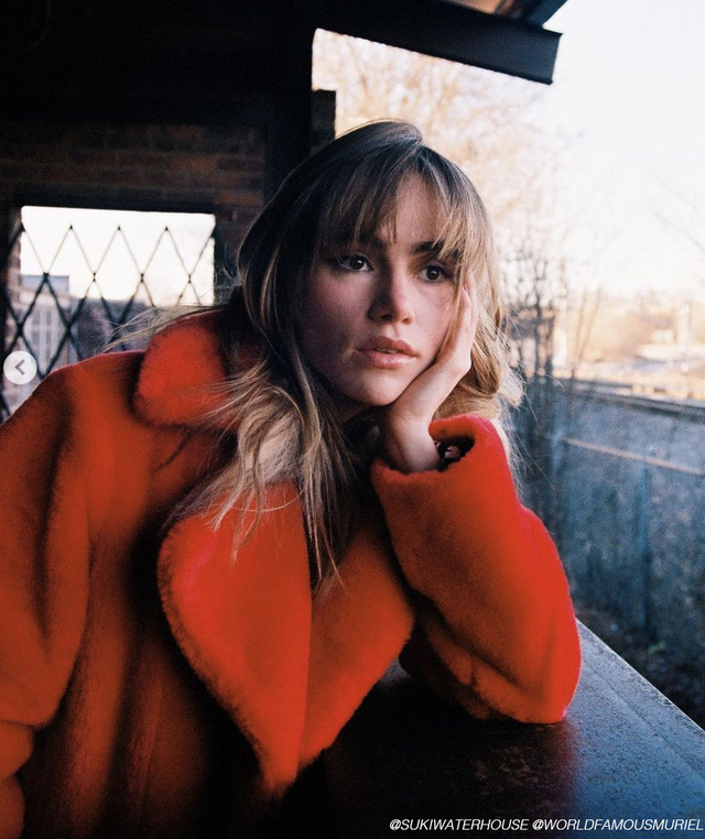 Re sized fafda77e171c64ae05ed shag