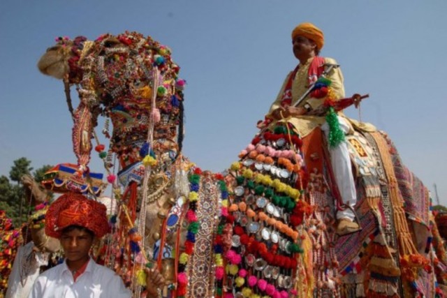 Bikaner-camel-festival7-550x367