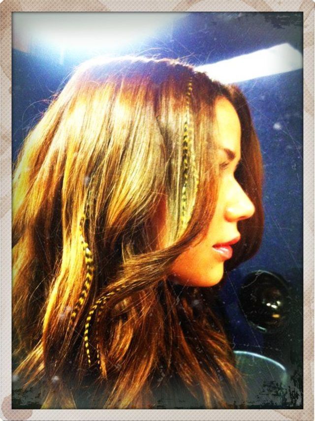 feather 