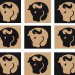 Re sized ff37b35a33cdfc2a35246cb61cbcf741 ava