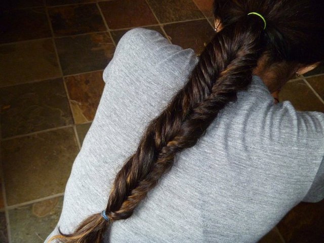 fish tail braid