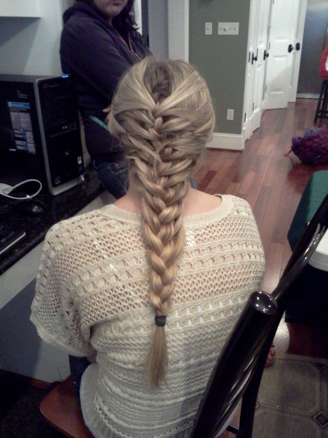 fishtale/french braid