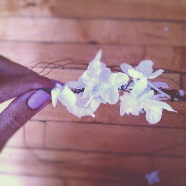 flower6