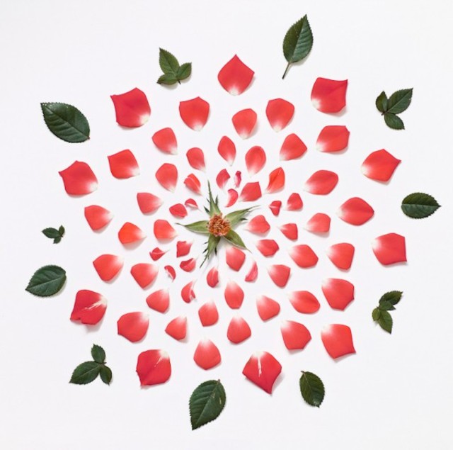 fong-qi-wei-exploded-flowers-1-600x595