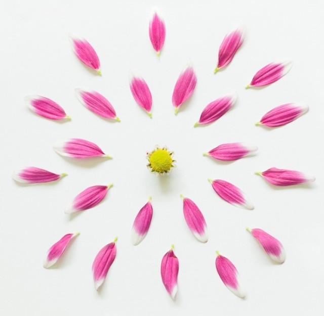 fong-qi-wei-exploded-flowers-6-600x586