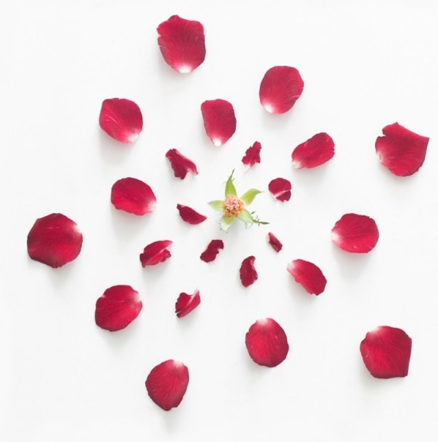 fong-qi-wei-exploded-flowers-7-600x605