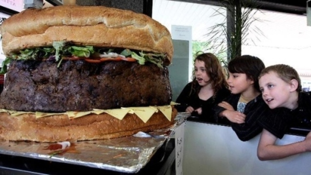 food-500-6