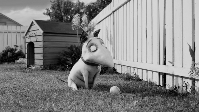 frankenweenie-2012-20111028024943730_640w