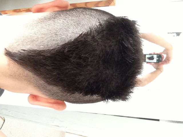 fresh cut