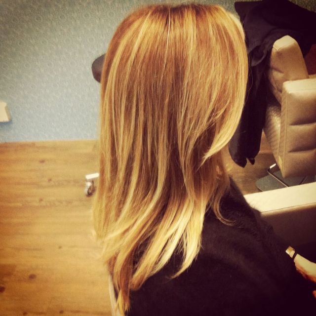 goldielocks 