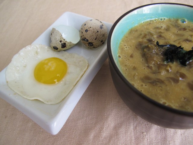 gull eggs