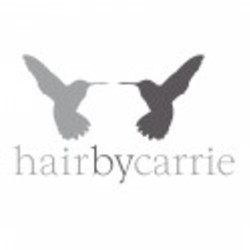 Re sized hair%20by%20carrie final 01 ava