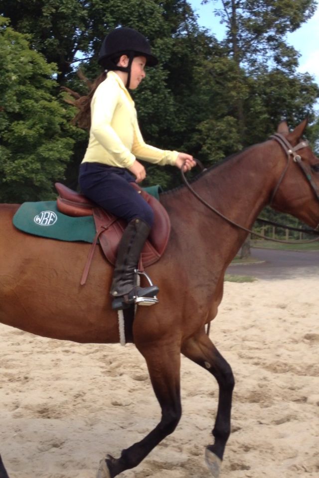 hair flying on horse