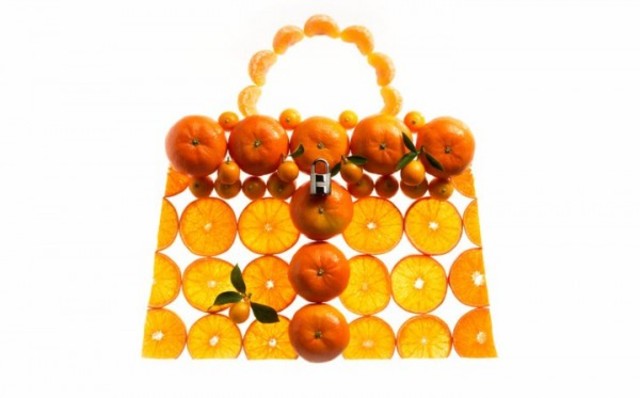 hermes-kelly-picnic-5-600x373