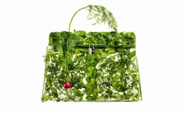 hermes-kelly-picnic-600x373