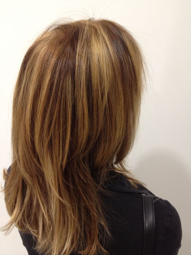 highlights 
