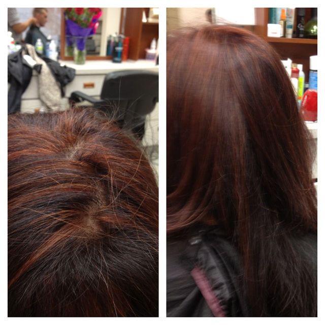 highlights