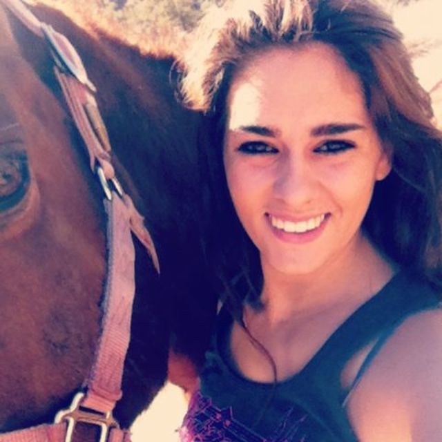 horse