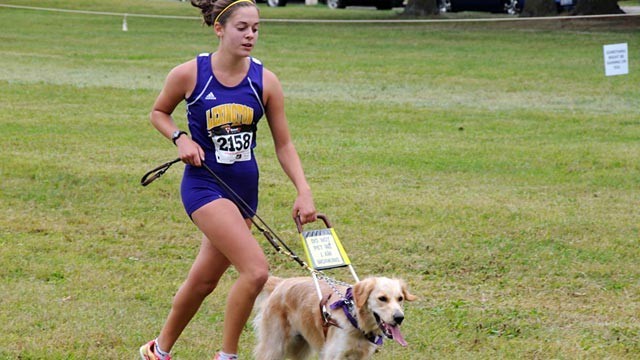ht_blind_race_sami_stoner_ll_111024_wg