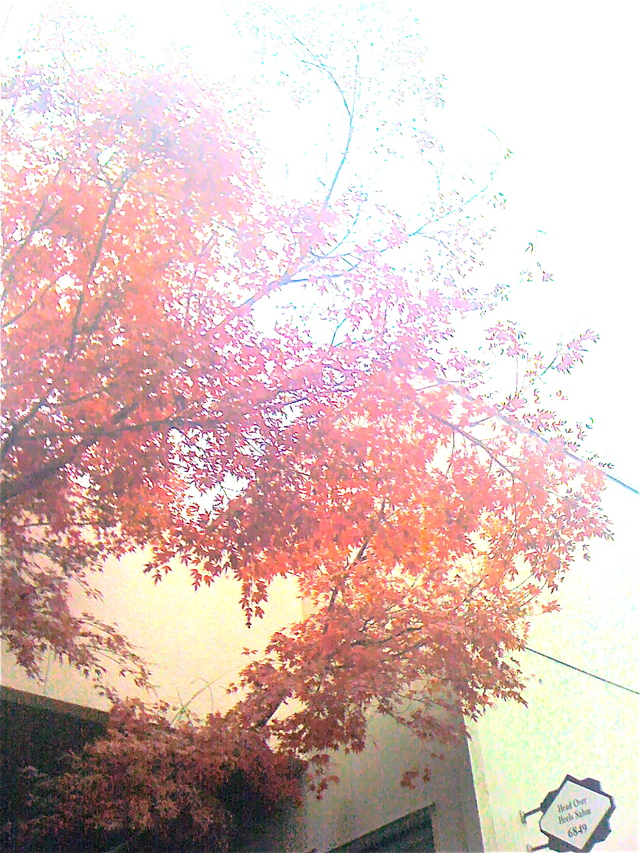a view up top