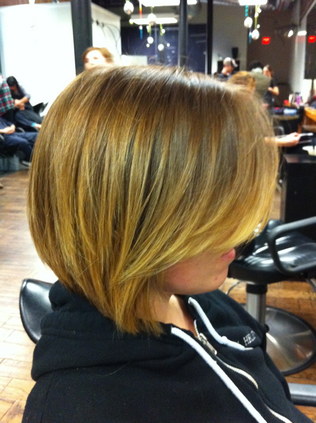Sleek Asymmetrical Bob