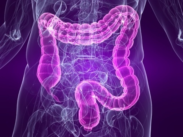 intestines
