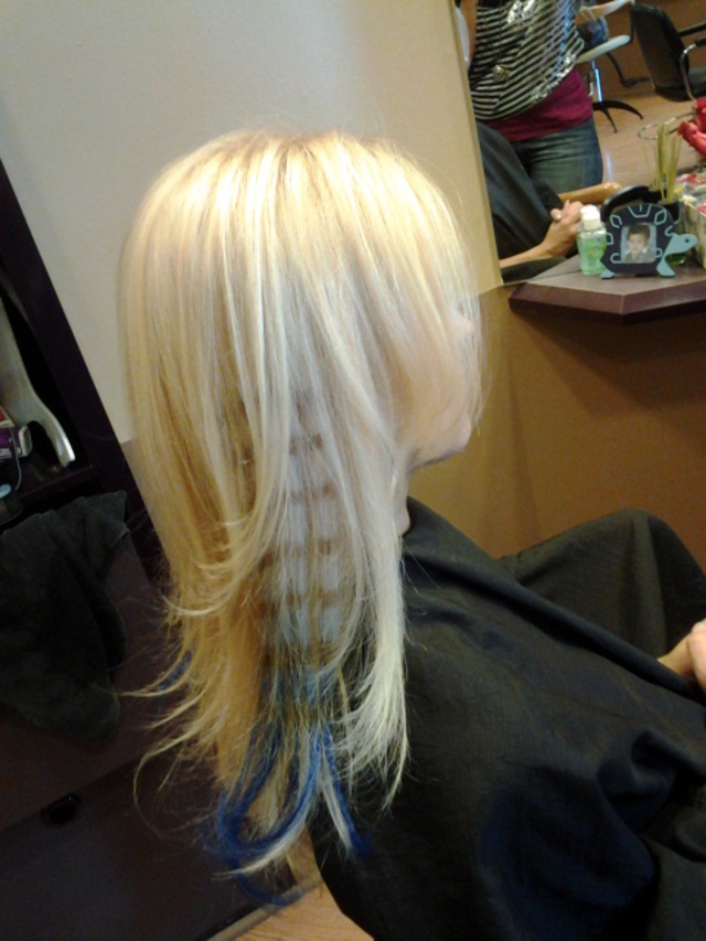  Feathers 