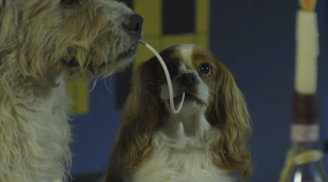 lady and the tramp