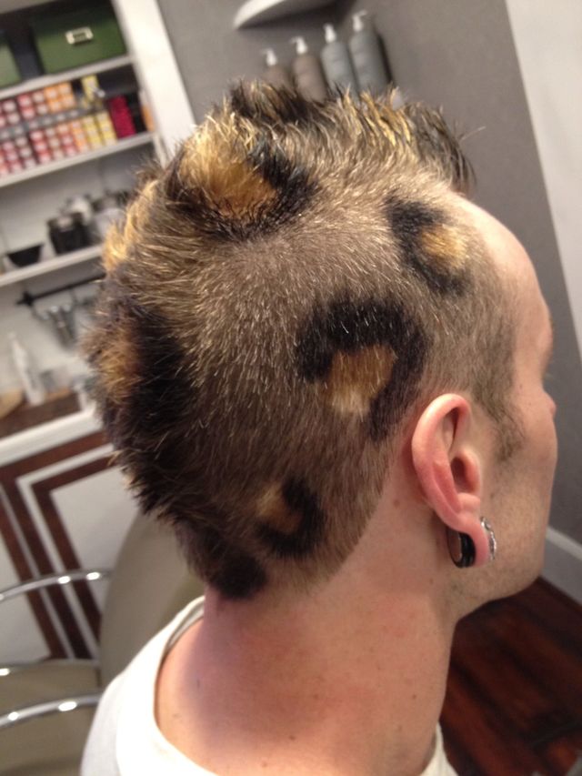 leopard Mohawk 