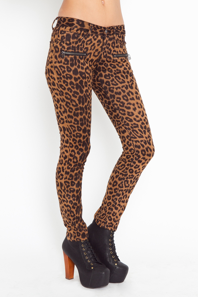 leopard