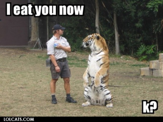 lolcatsdotcombqs7lrsqbj2lzpwk