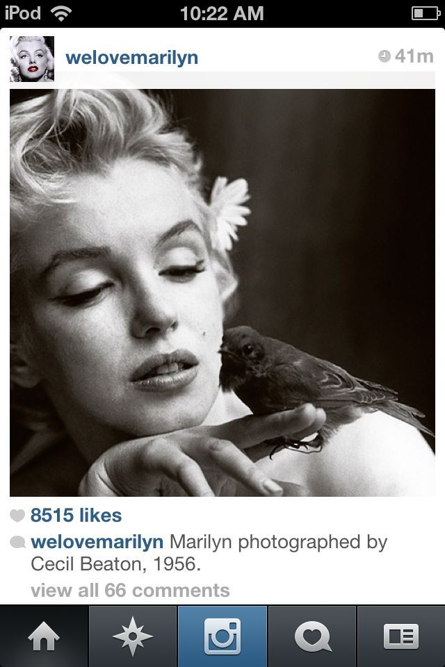 marlyn