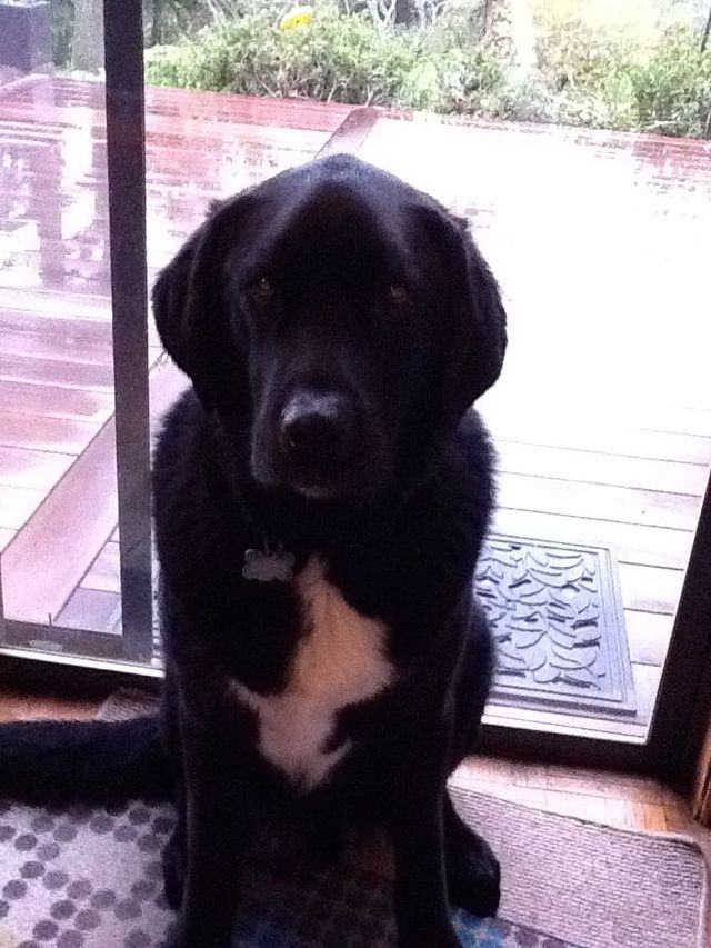 mr cute